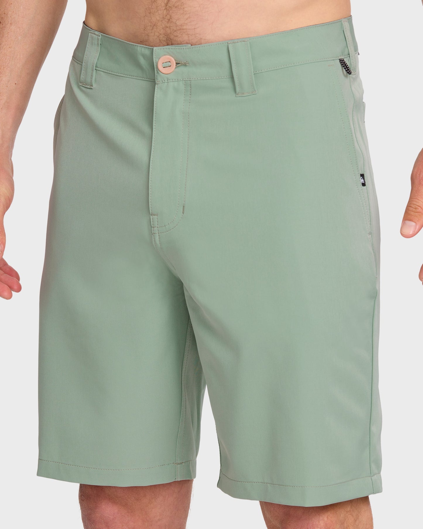 Quick Silver Union Amphibian 20" Hybrid Shorts - Herb