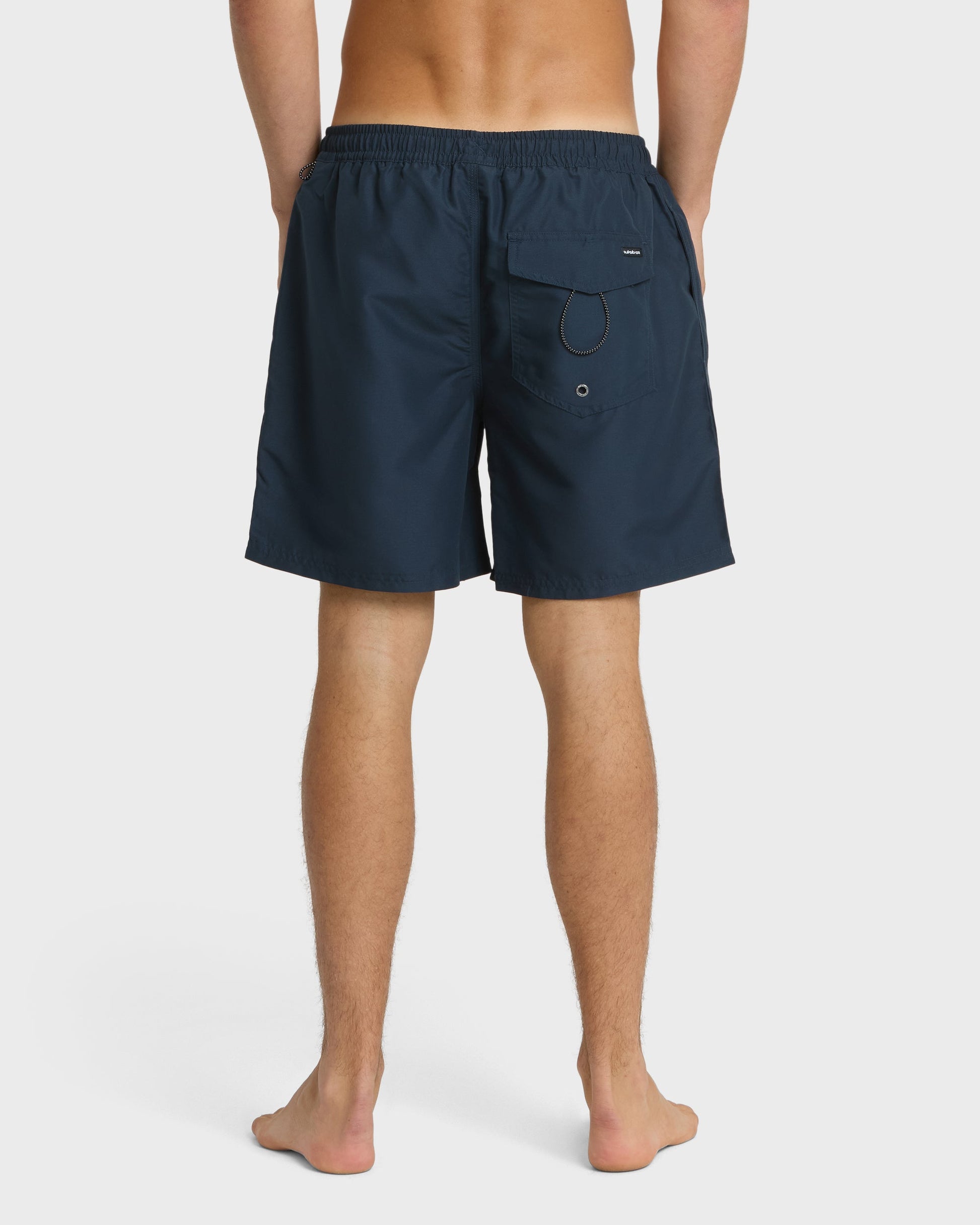 Everyday Solid 17" Swim Trunks - Eclipse - Quick Silver