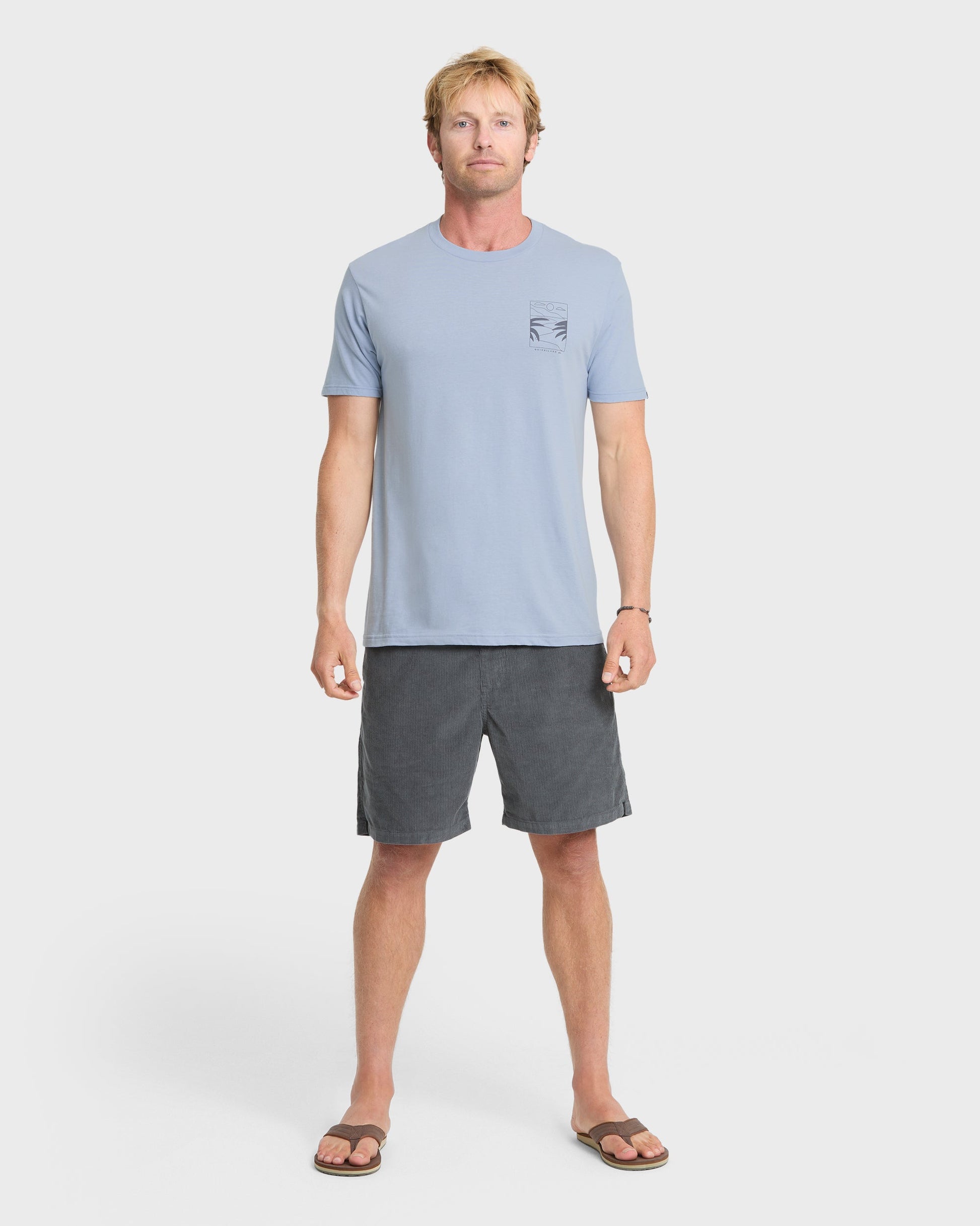 Ca PCH Cruisin T-Shirt - Ashley Blue - Quick Silver