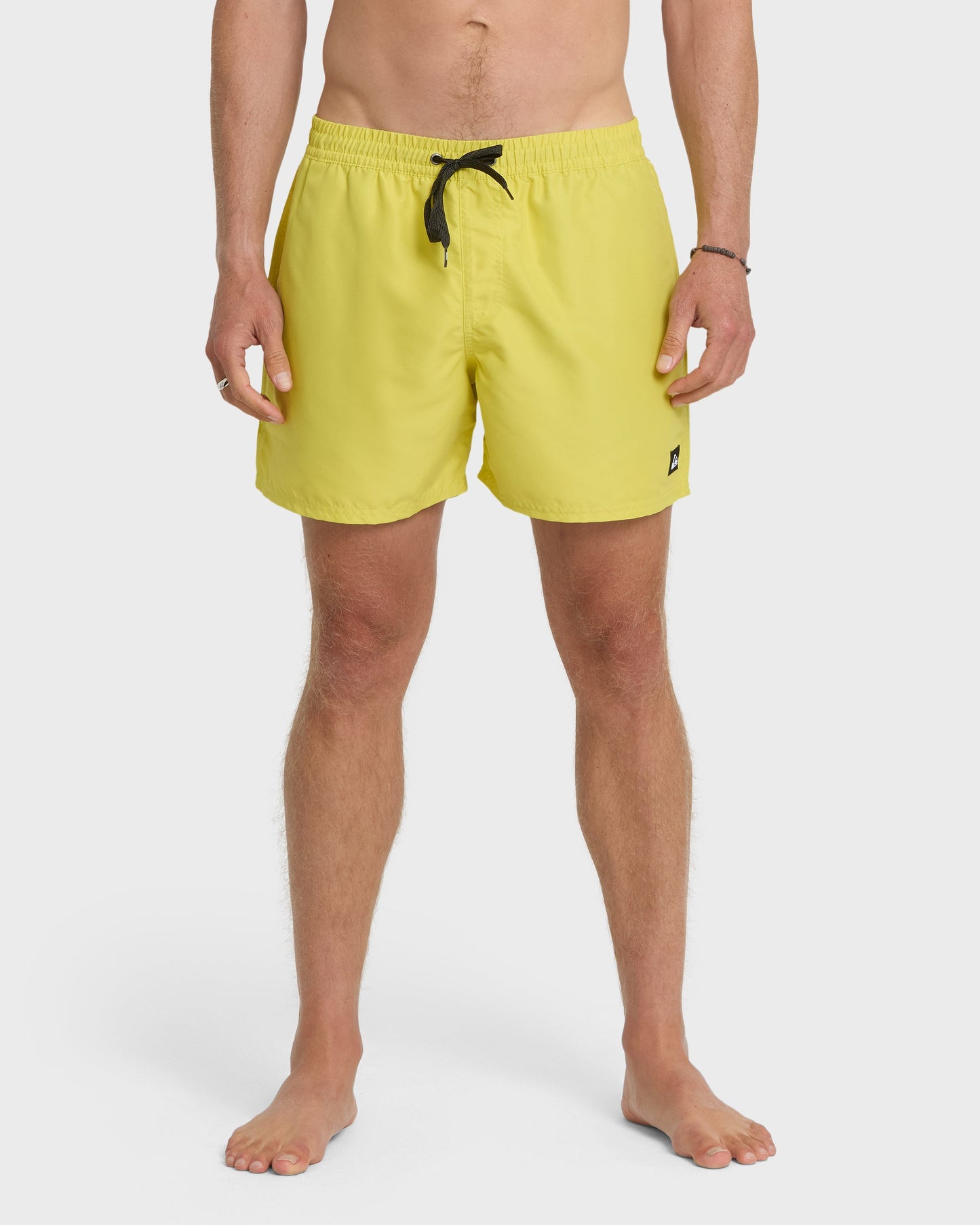 Everyday Solid 17" Swim Trunks - Acacia - Quick Silver