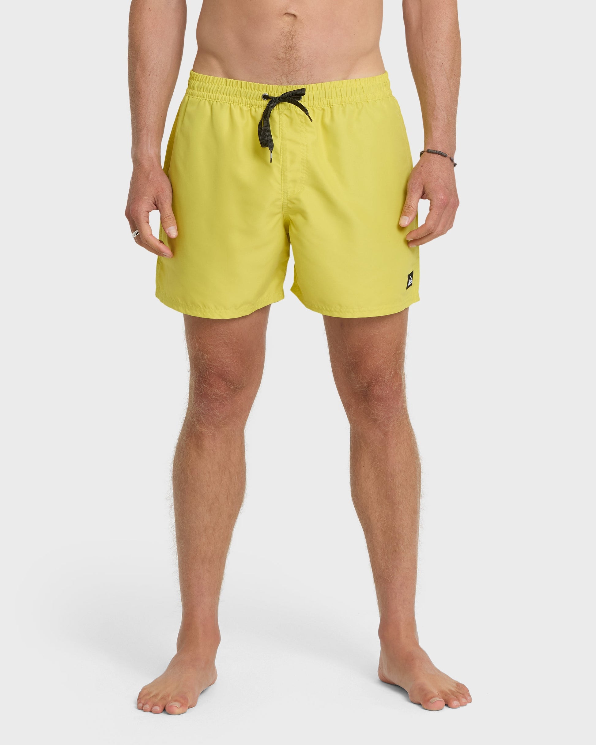 Everyday Solid 17" Swim Trunks - Acacia - Quick Silver