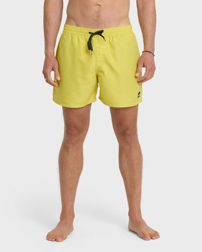 Everyday Solid 17" Swim Trunks - Acacia - Quick Silver