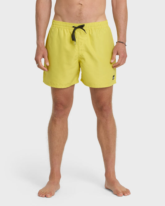 Everyday Solid 17" Swim Trunks - Acacia - Quick Silver