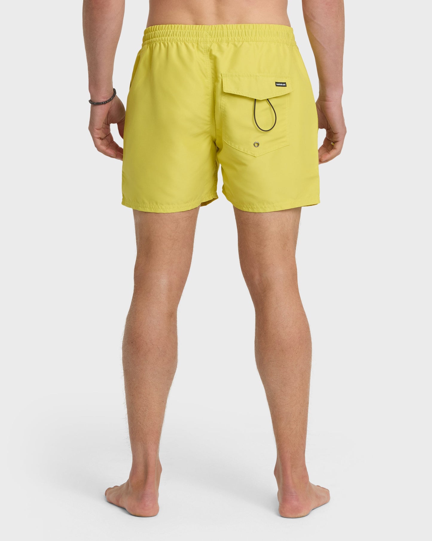 Everyday Solid 17" Swim Trunks - Acacia - Quick Silver