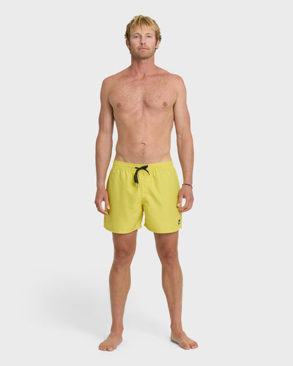 Everyday Solid 17" Swim Trunks - Acacia - Quick Silver