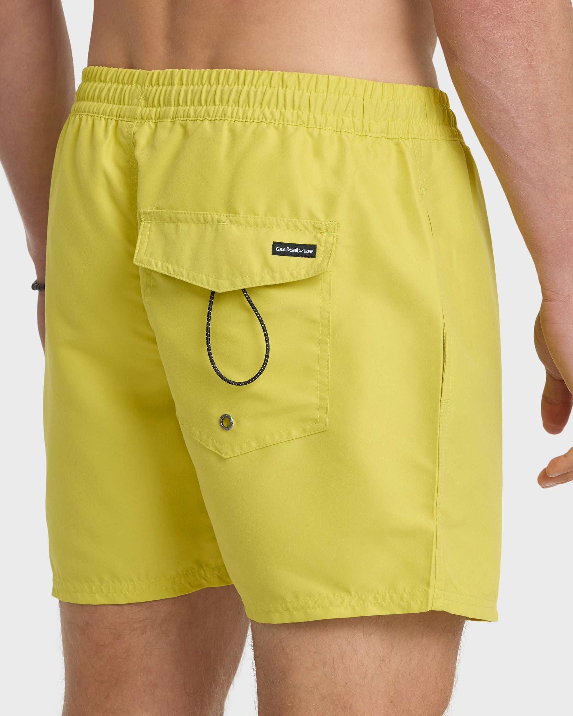 Everyday Solid 17" Swim Trunks - Acacia - Quick Silver