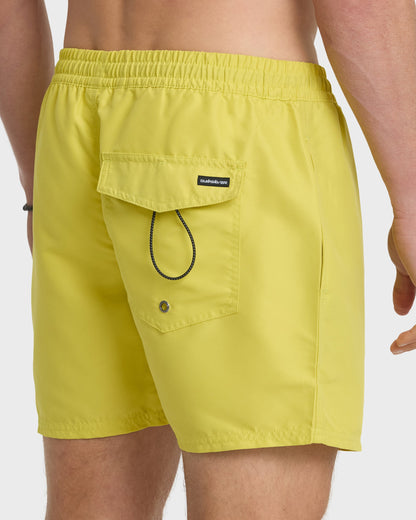 Everyday Solid 17" Swim Trunks - Acacia - Quick Silver