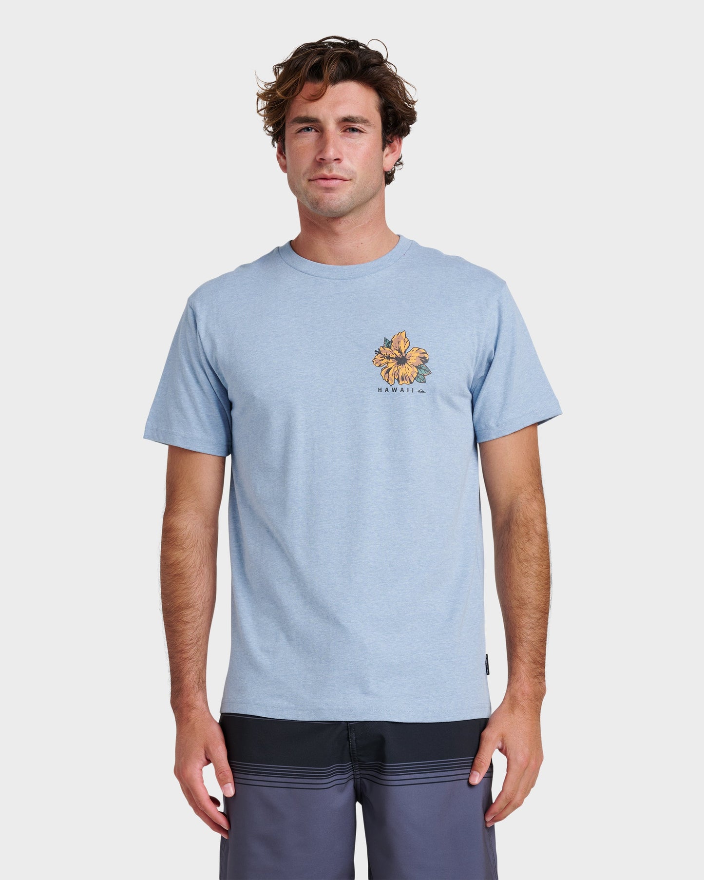 Hi Garden Classic T-shirt - Ashley Blue Heather - Quick Silver