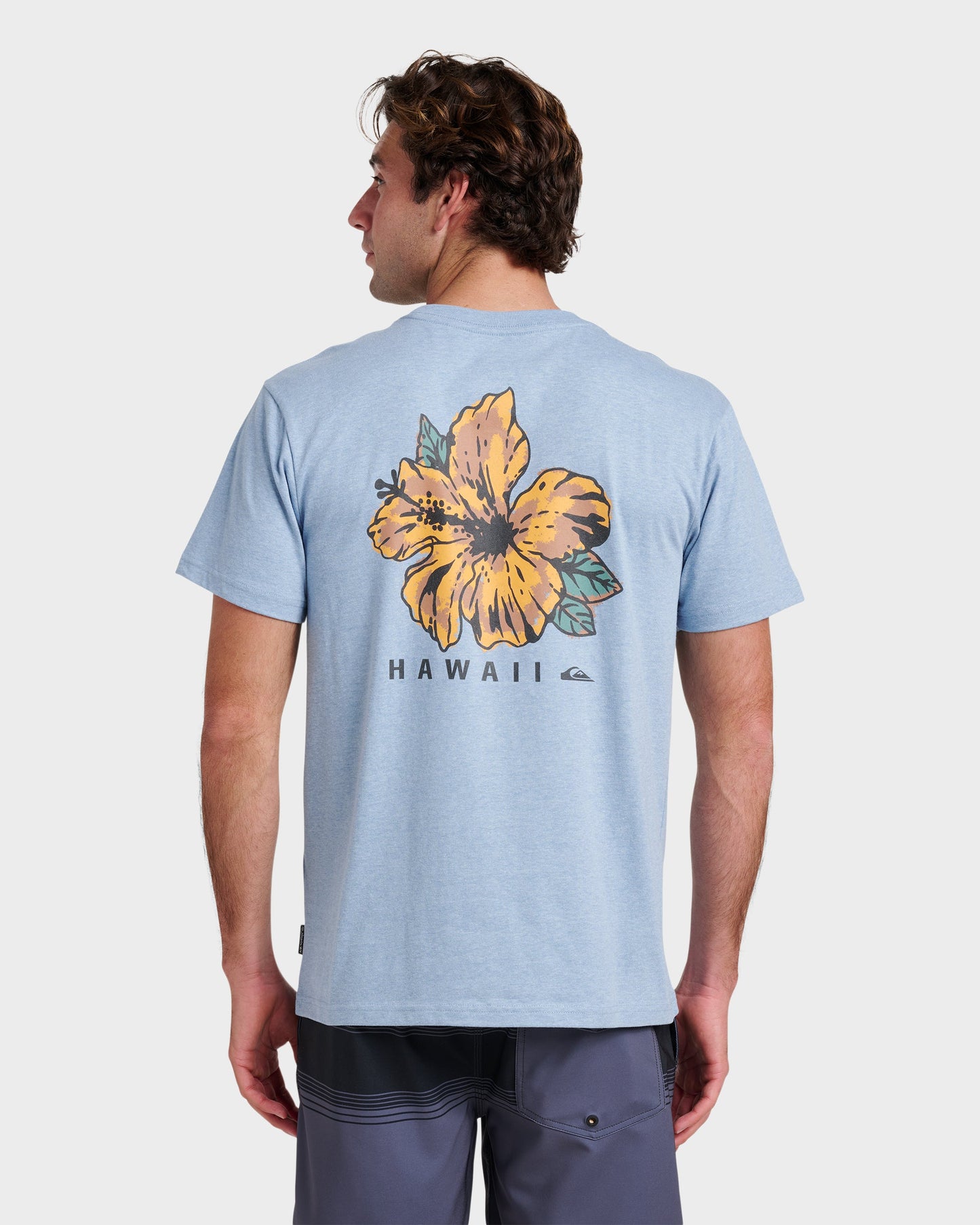 Hi Garden Classic T-shirt - Ashley Blue Heather - Quick Silver