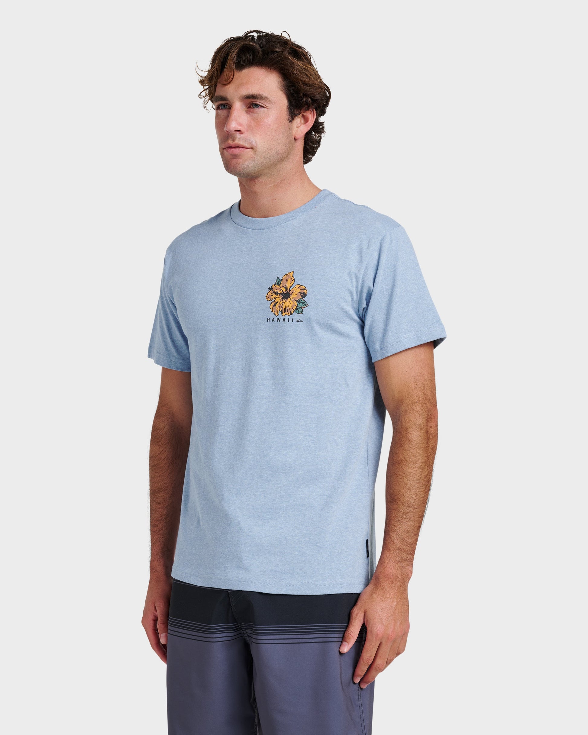 Hi Garden Classic T-shirt - Ashley Blue Heather - Quick Silver