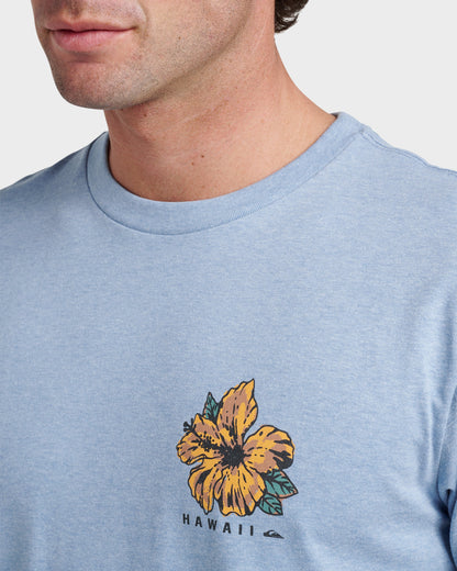 Hi Garden Classic T-shirt - Ashley Blue Heather - Quick Silver