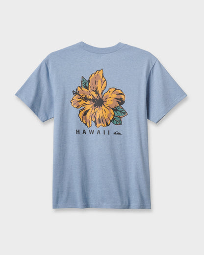 Hi Garden Classic T-shirt - Ashley Blue Heather - Quick Silver