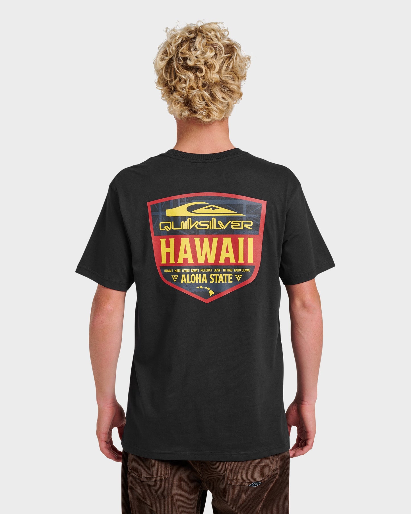 Hi Shield Classic T-shirt - Black - Quick Silver