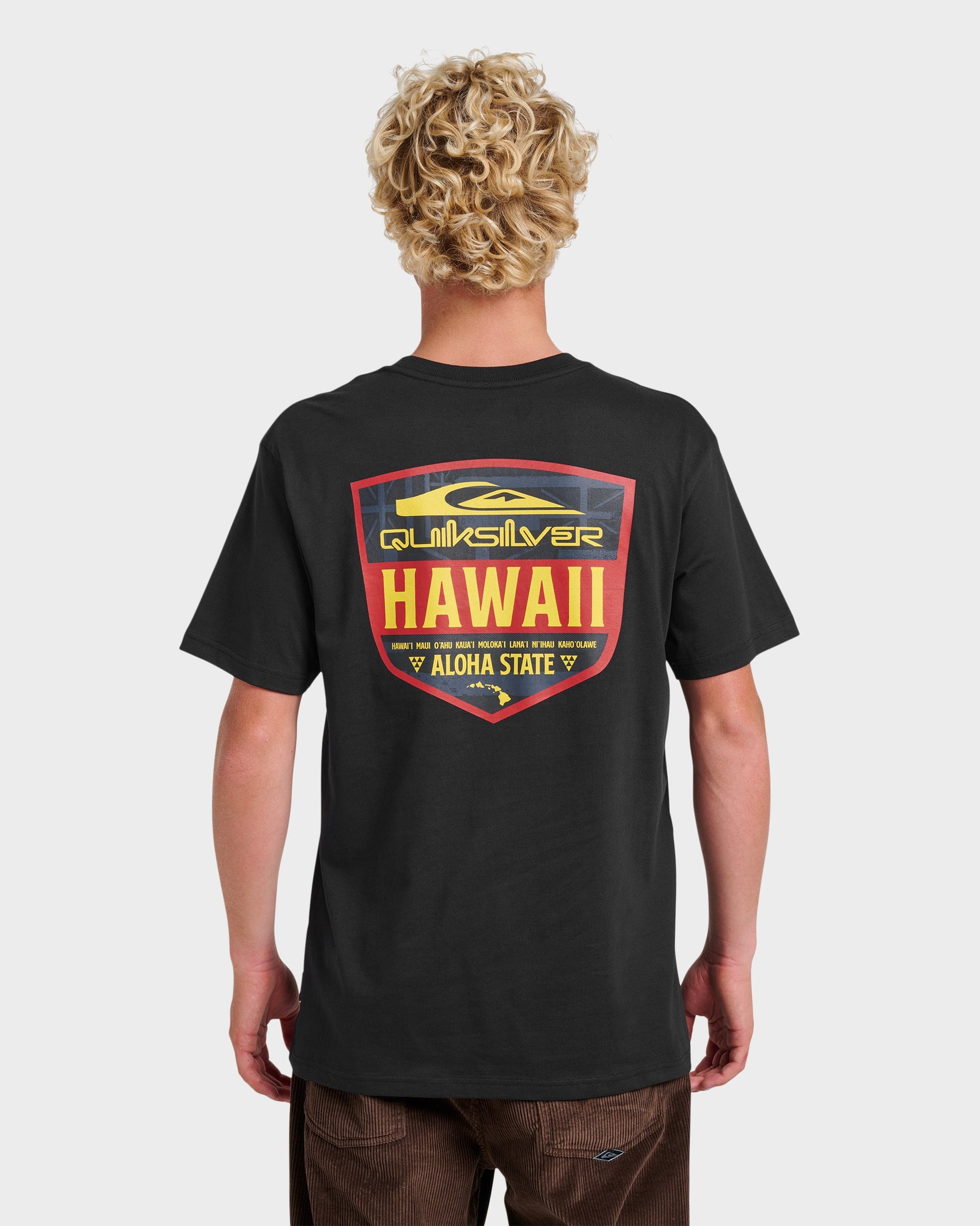 Hi Shield Classic T-shirt - Black - Quick Silver
