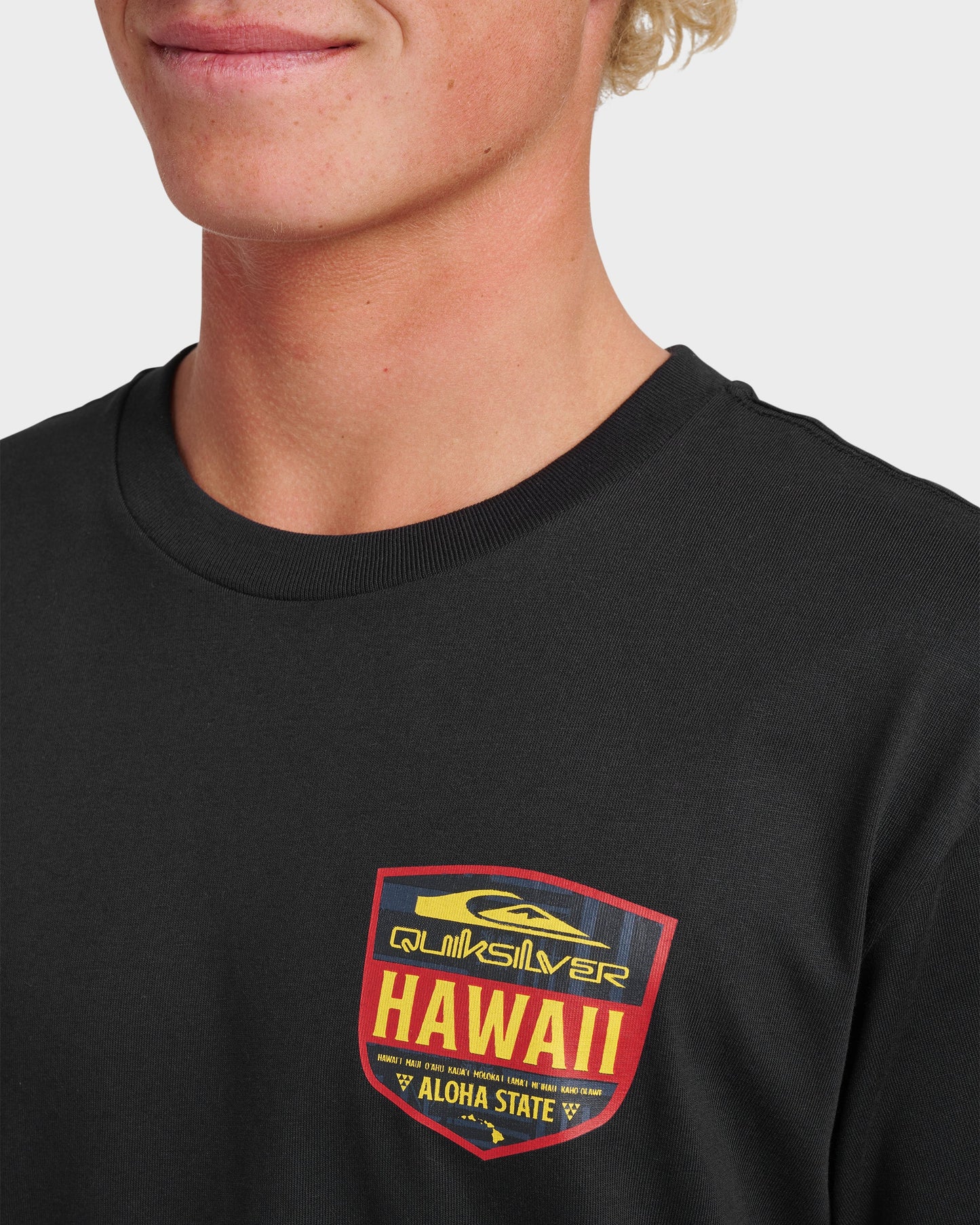 Hi Shield Classic T-shirt - Black - Quick Silver