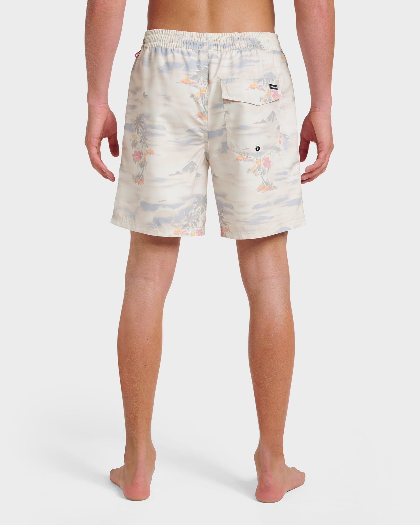 Everyday Tropical Surf 17" Swim Trunks - Moonstruck - Quick Silver