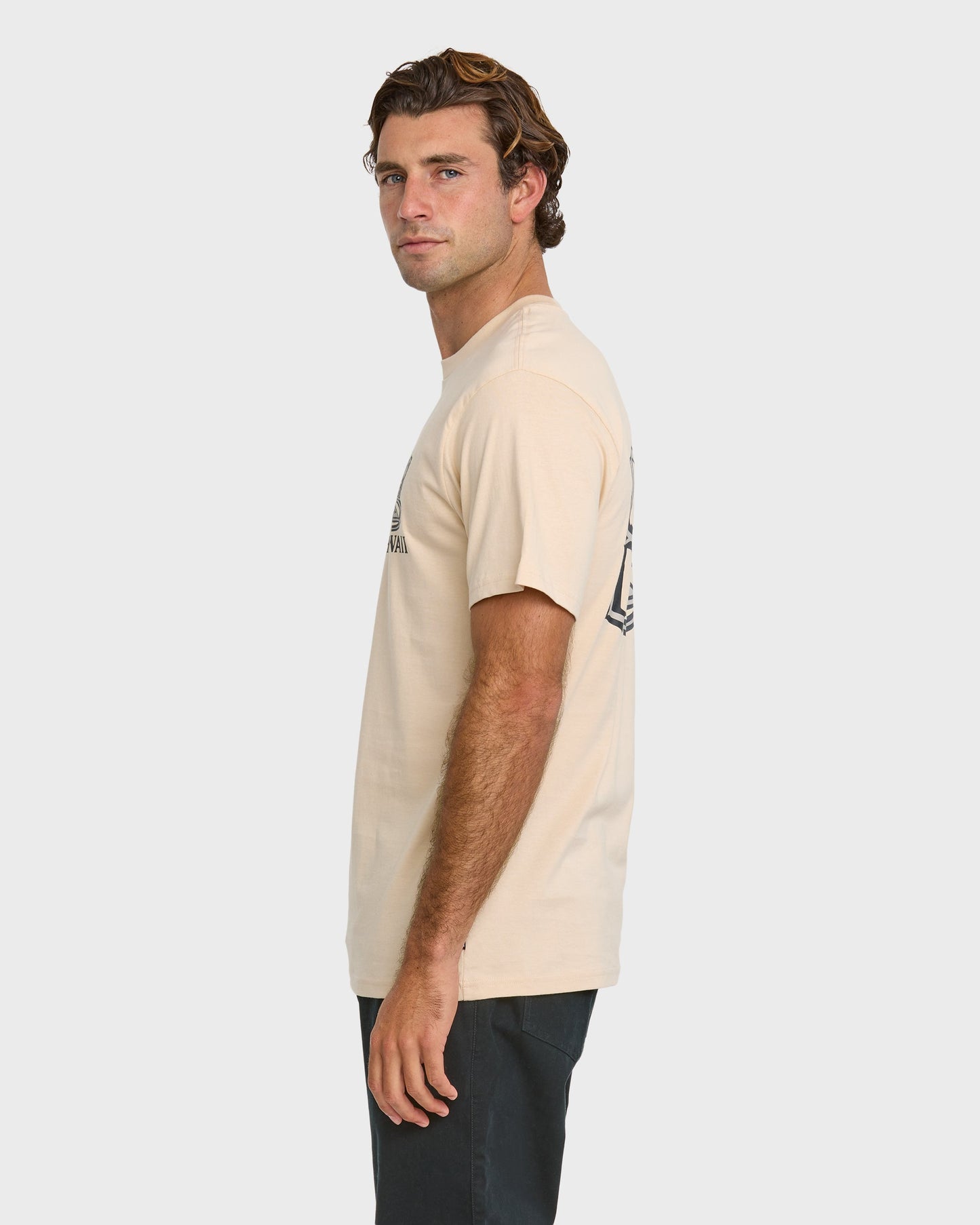 808 Represent Classic T-shirt - Fog - Quick Silver