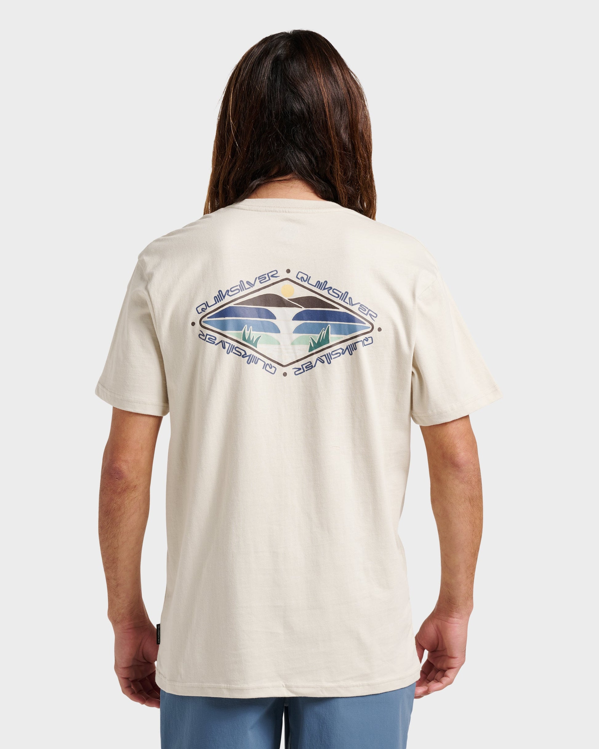 Peak Day Classic T-shirt - Moonstruck - Quick Silver