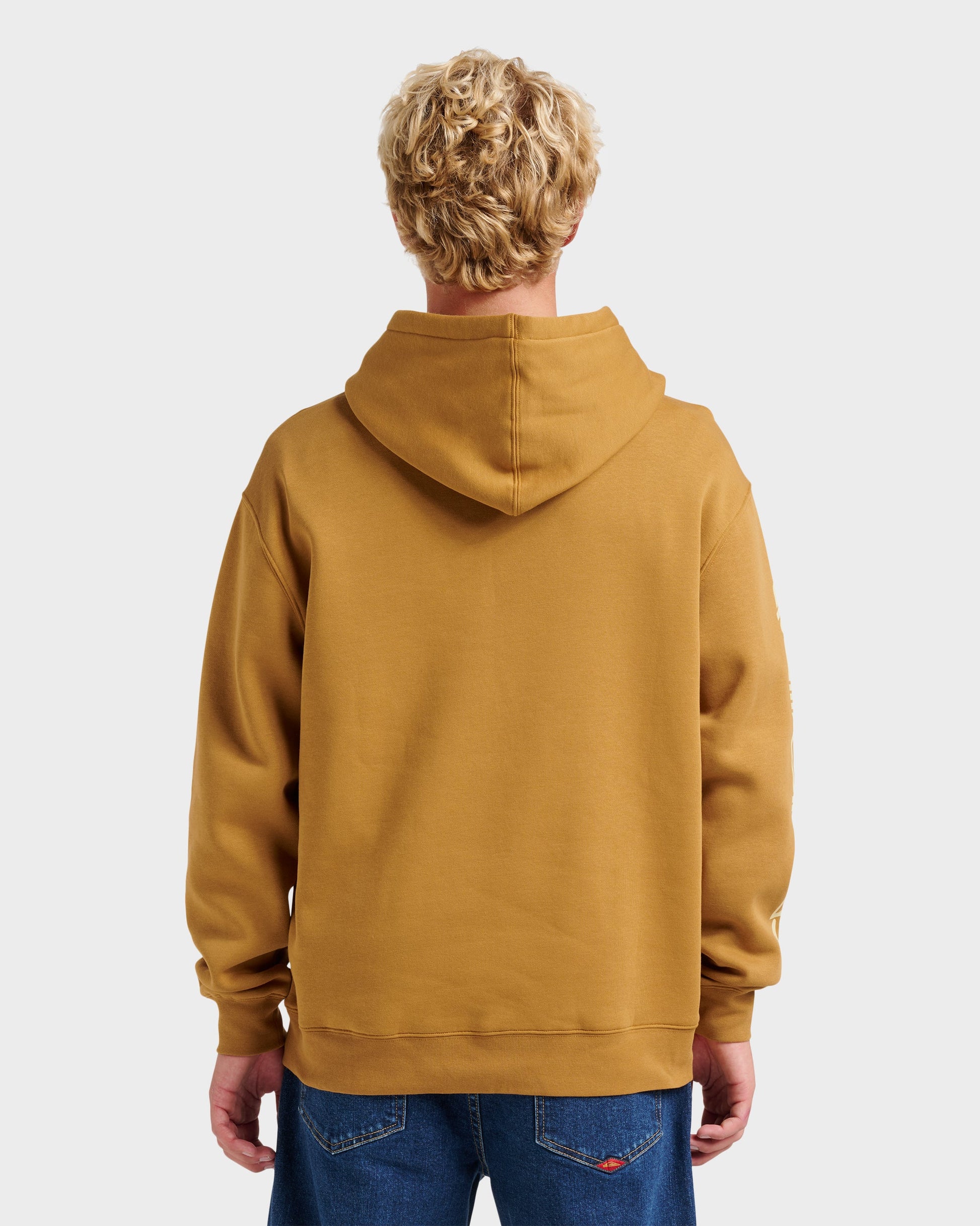 Passage Logo Hoodie - Wood Thrush - Quick Silver
