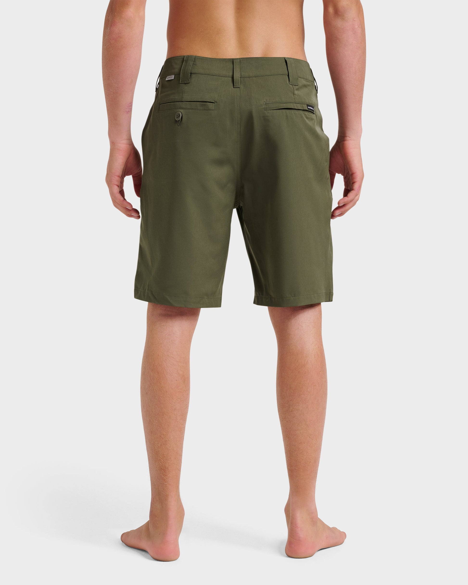 Union Amphibian 20" Hybrid Shorts - Grape Leaf - Quick Silver