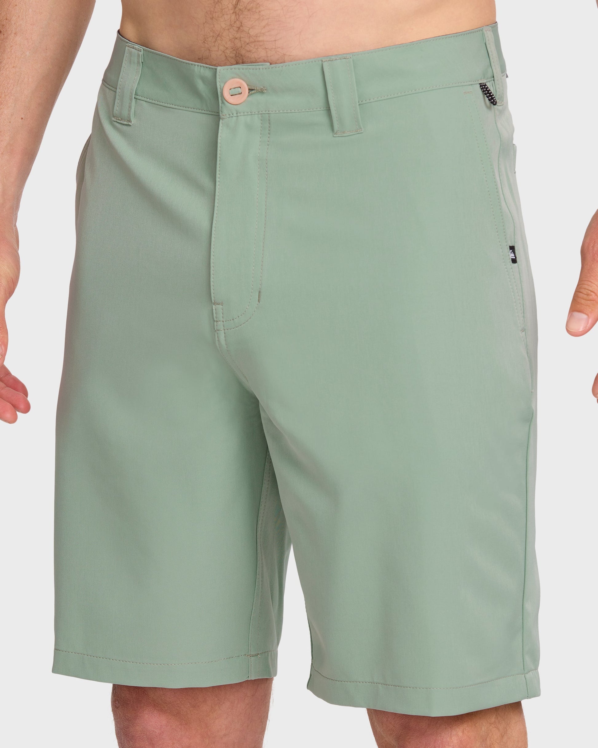 Union Amphibian 20" Hybrid Shorts - Herb - Quick Silver