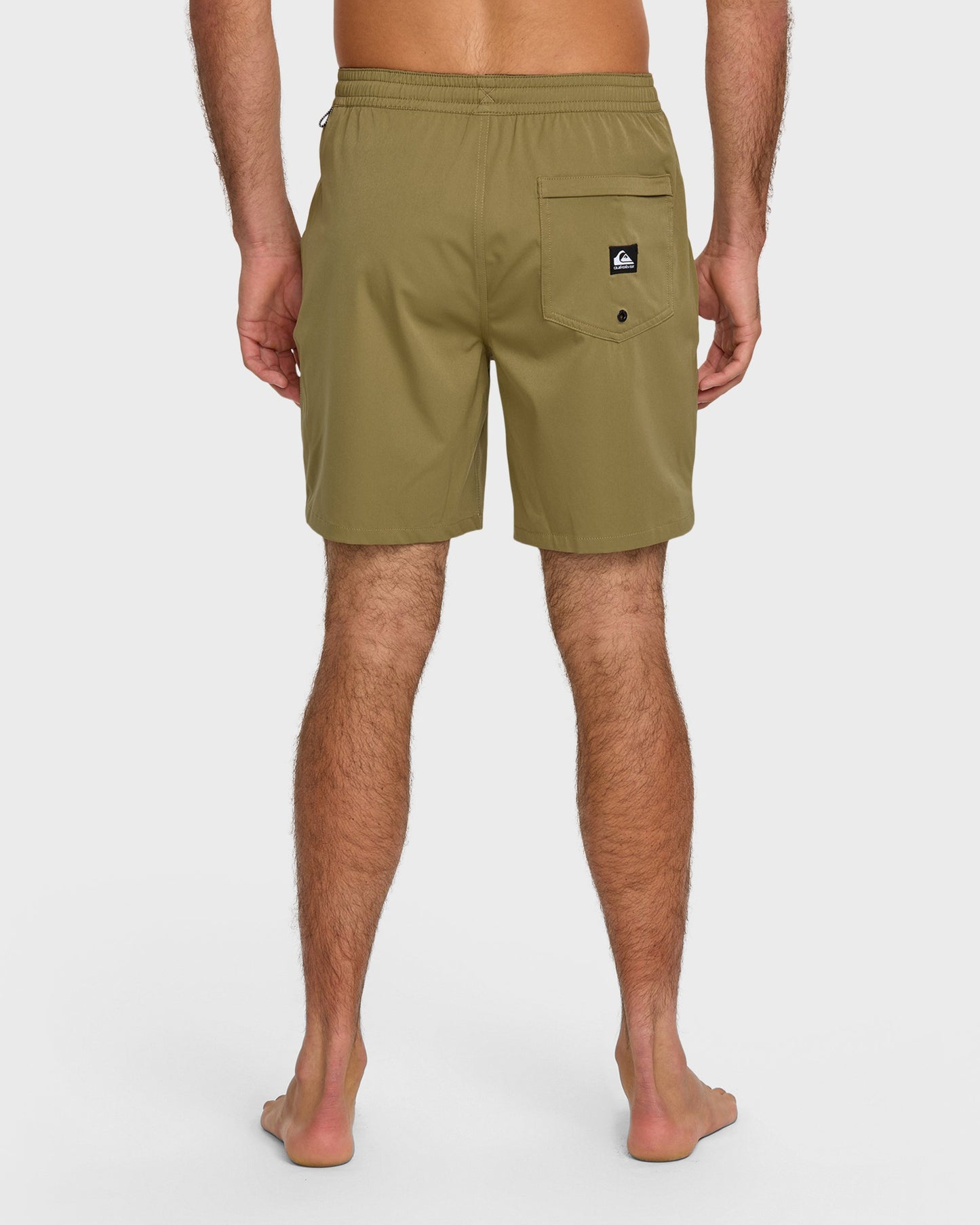 Taxer Amphibian 18" Hybrid Shorts - Aloe - Quick Silver