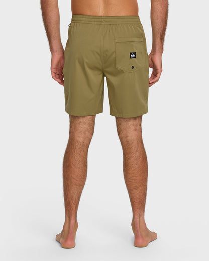 Taxer Amphibian 18" Hybrid Shorts - Aloe - Quick Silver