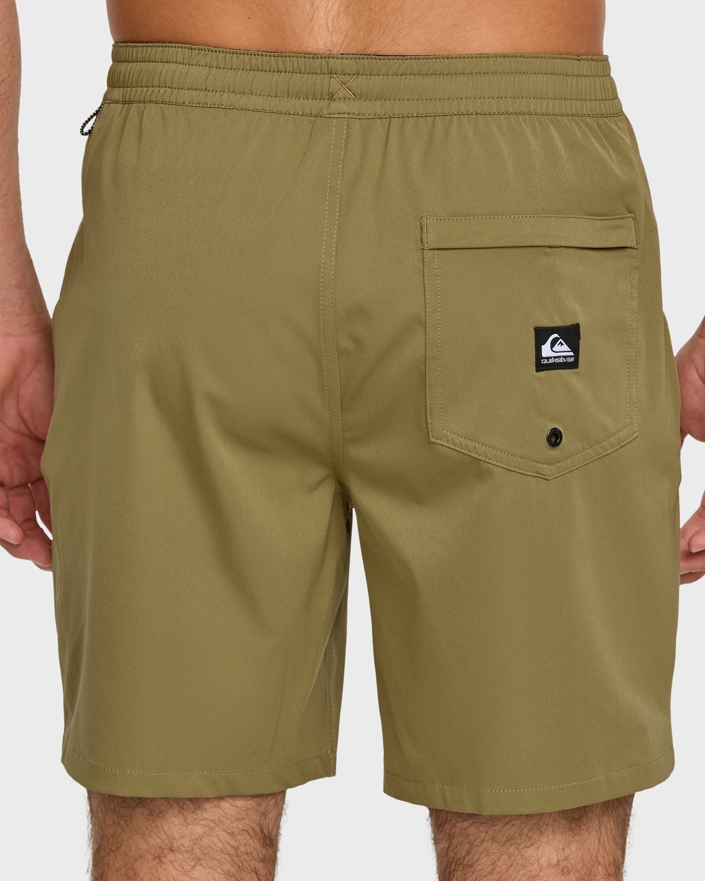Taxer Amphibian 18" Hybrid Shorts - Aloe - Quick Silver