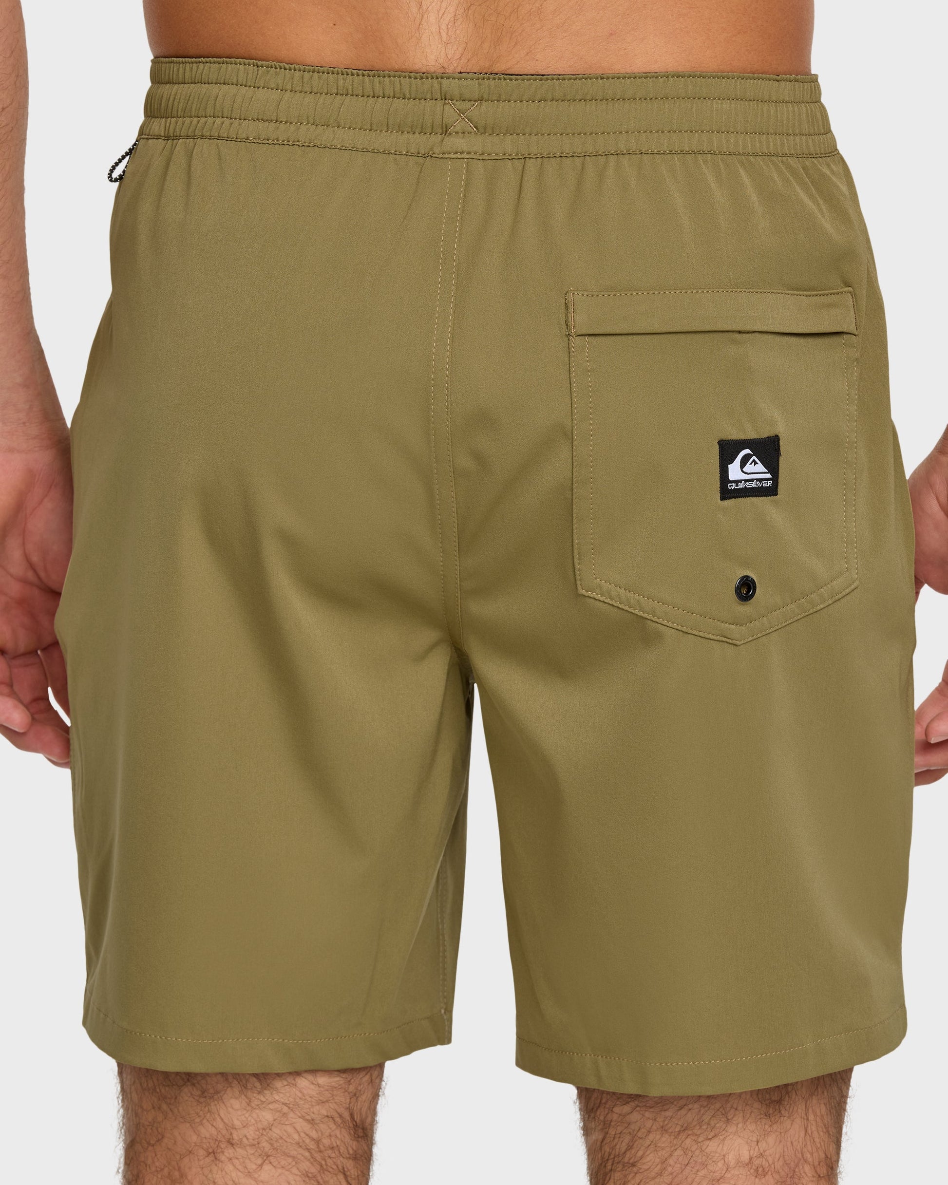 Taxer Amphibian 18" Hybrid Shorts - Aloe - Quick Silver