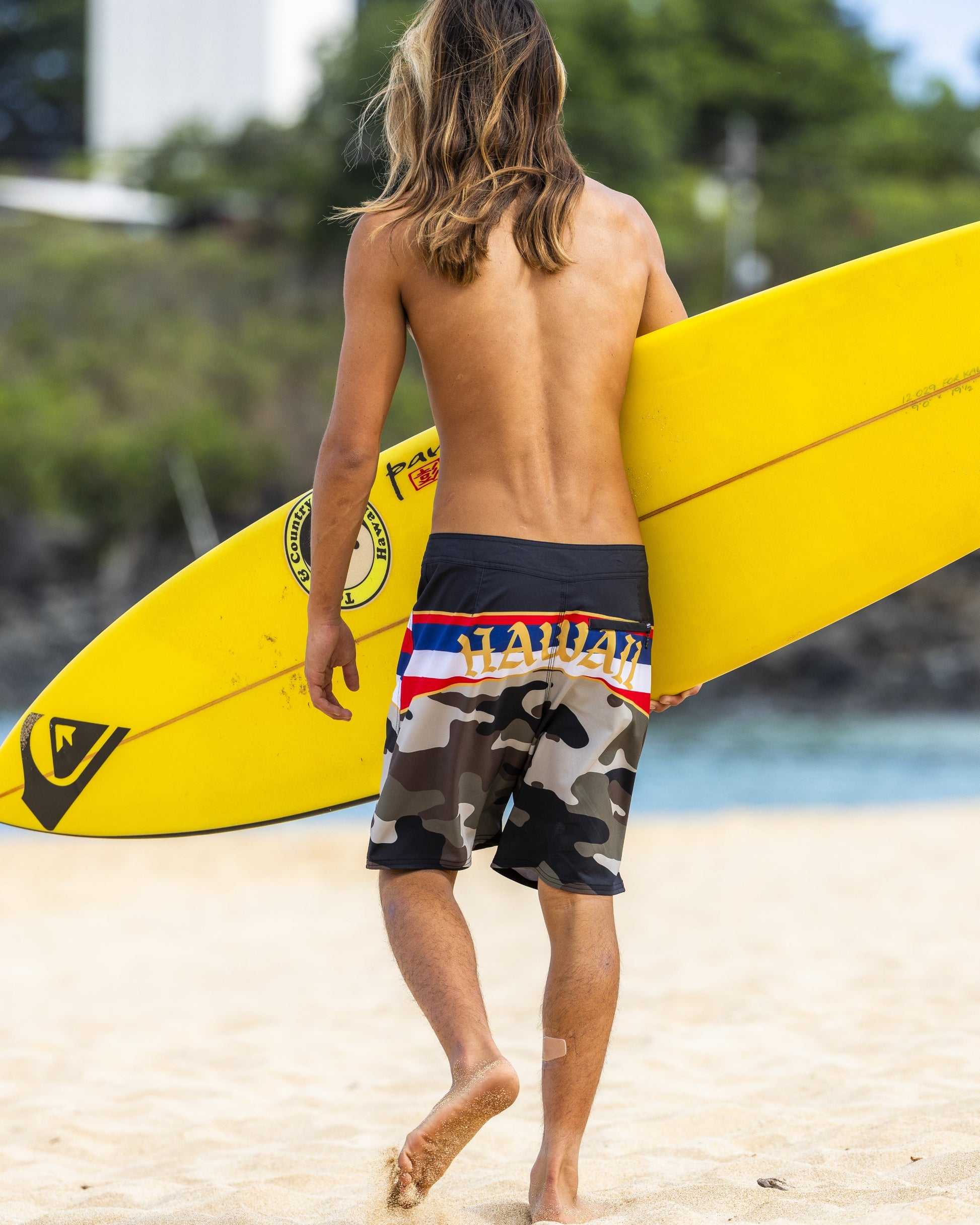 Hi Panel 20" Boardshorts - Grape Leaf - Quick Silver