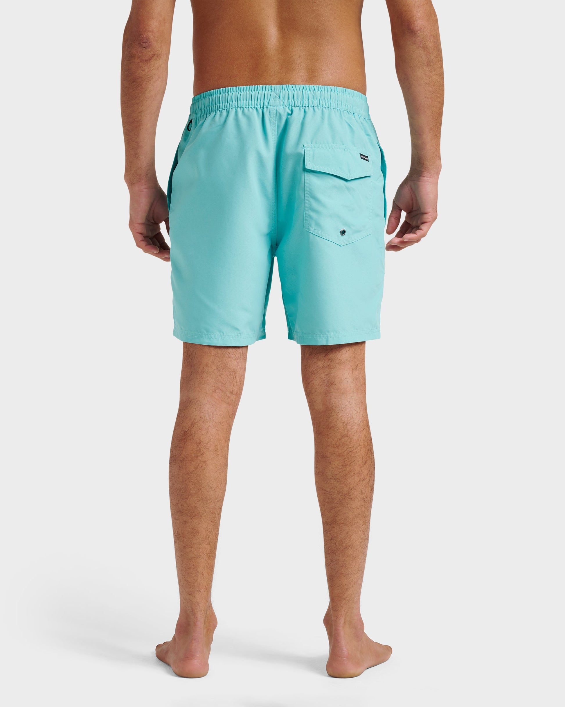 Everyday Solid 17" Swim Trunks - Aqua Sky - Quick Silver