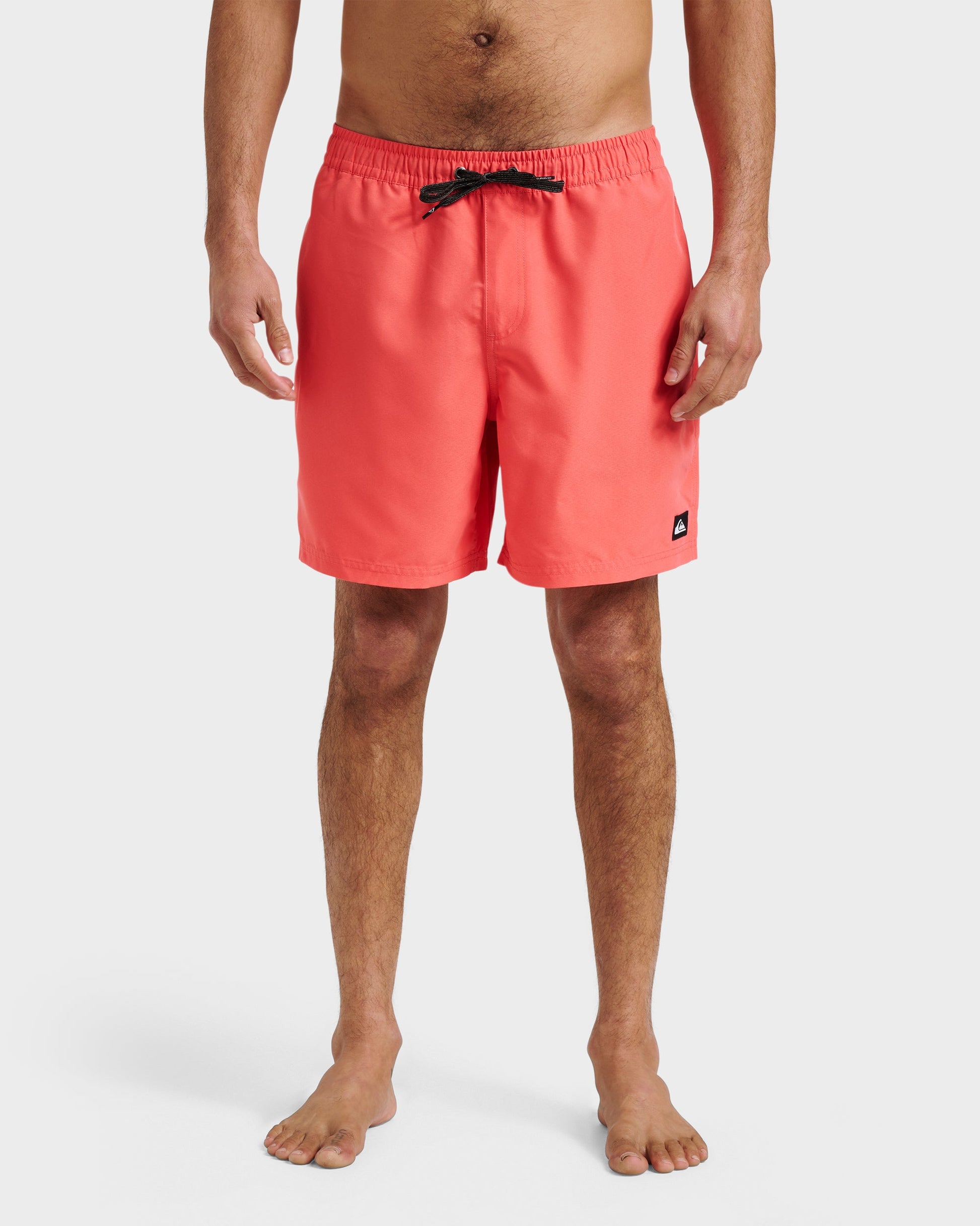 Everyday Solid 17" Swim Trunks - Dubarry - Quick Silver