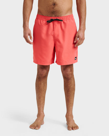 Everyday Solid 17" Swim Trunks - Dubarry - Quick Silver