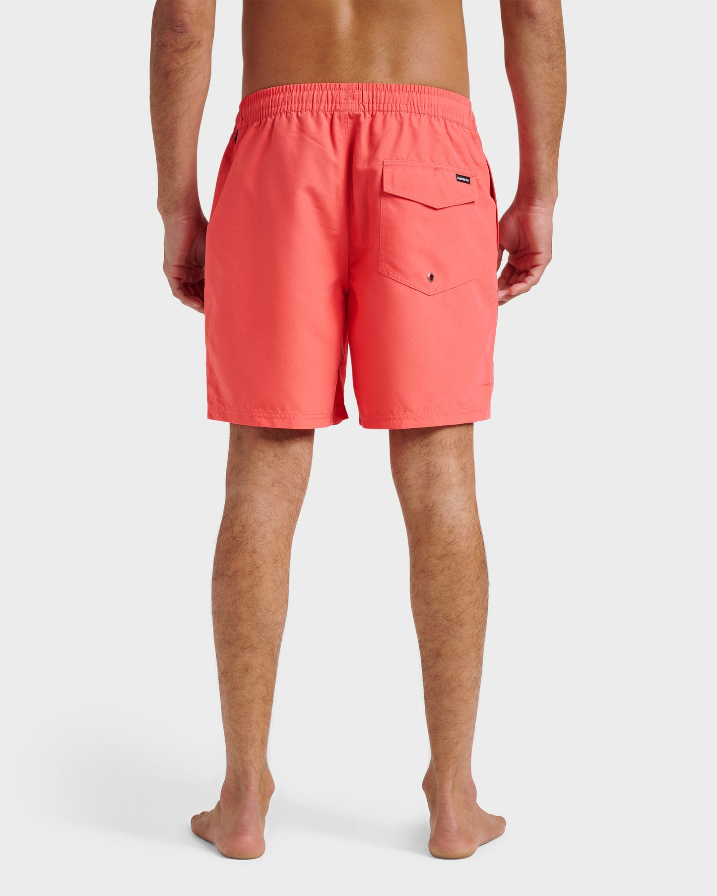 Everyday Solid 17" Swim Trunks - Dubarry - Quick Silver