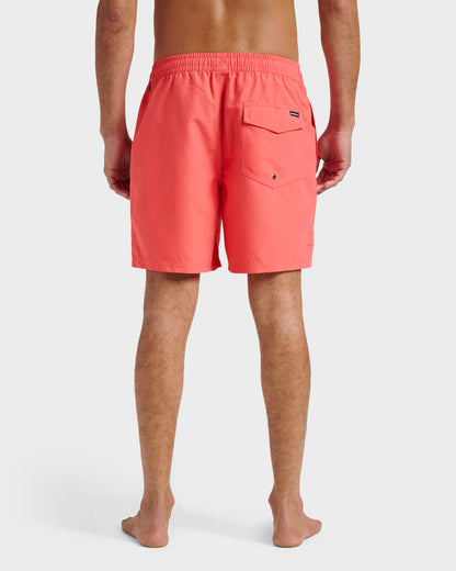 Everyday Solid 17" Swim Trunks - Dubarry - Quick Silver
