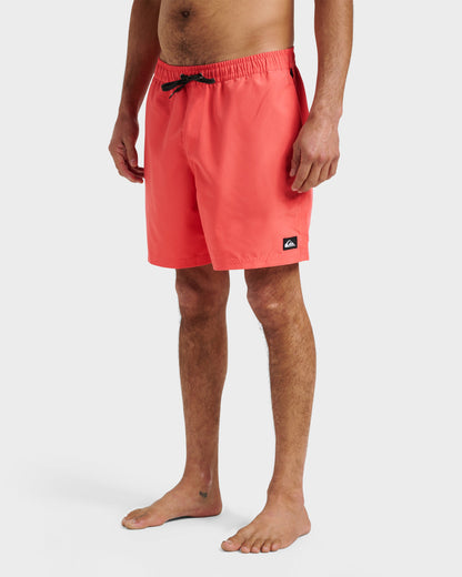 Everyday Solid 17" Swim Trunks - Dubarry - Quick Silver