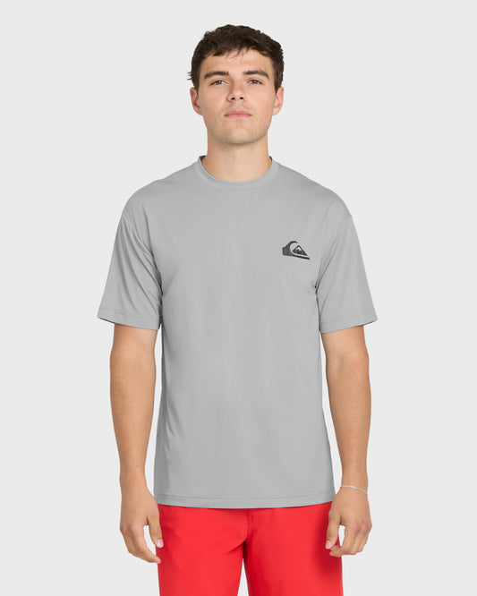 Everyday Short Sleeve Surf Tee - Smokedgray - Quick Silver