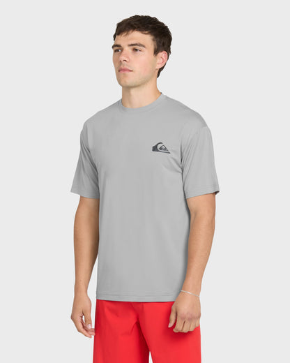 Everyday Short Sleeve Surf Tee - Smokedgray - Quick Silver