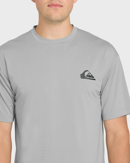Everyday Short Sleeve Surf Tee - Smokedgray - Quick Silver