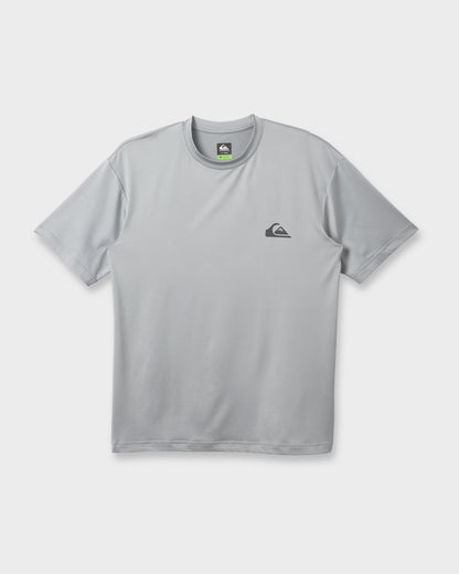 Everyday Short Sleeve Surf Tee - Smokedgray - Quick Silver